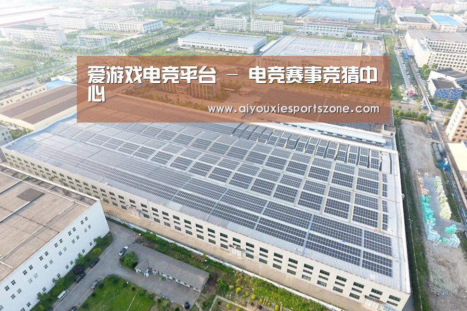 案例展示一