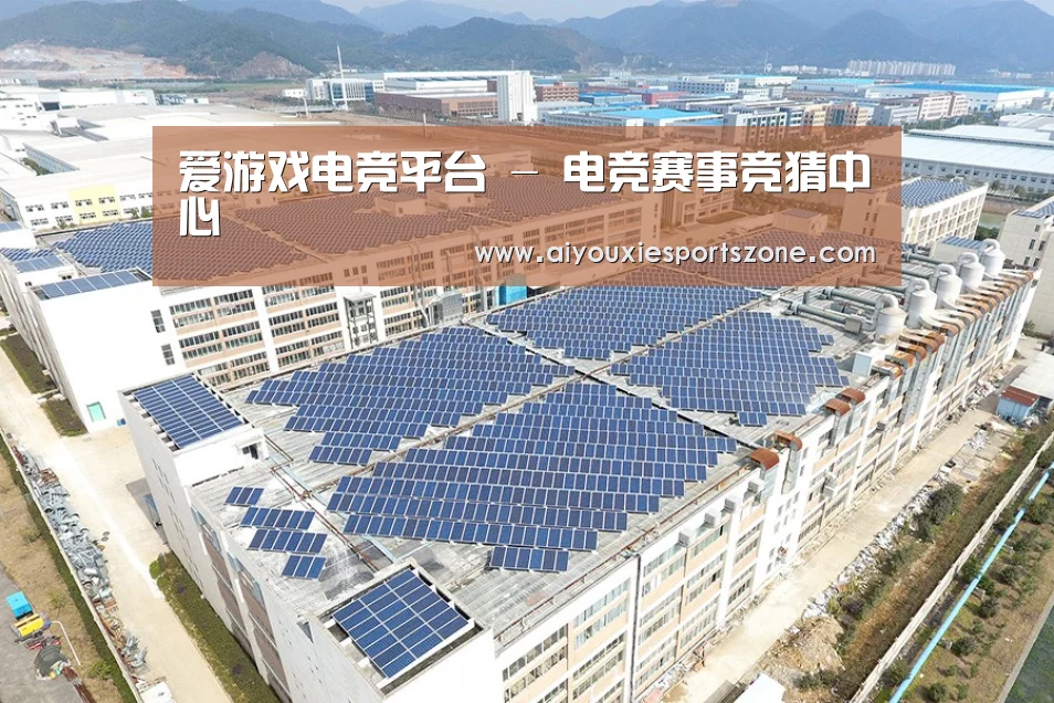案例展示一