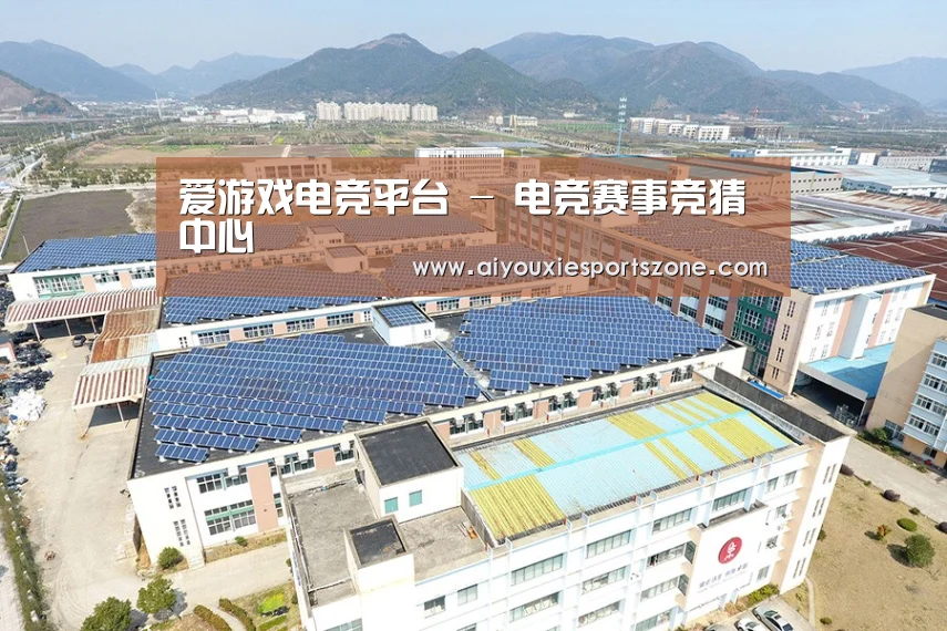 案例展示一