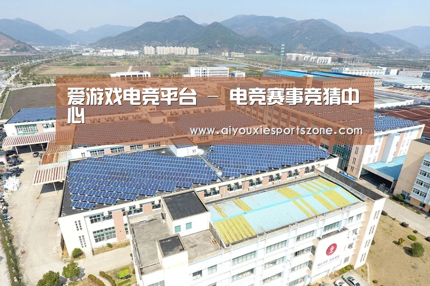 案例展示四