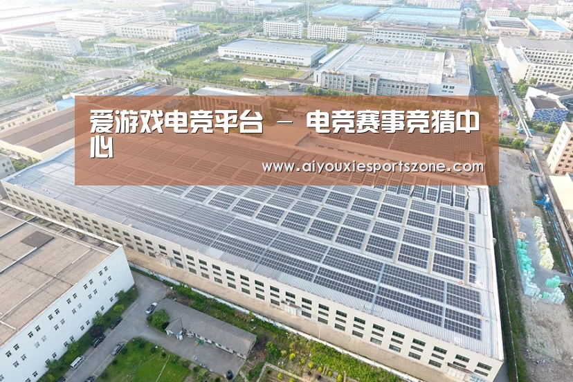 案例展示三