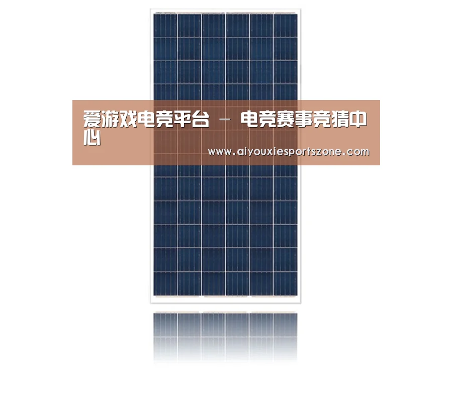 产品名称一
