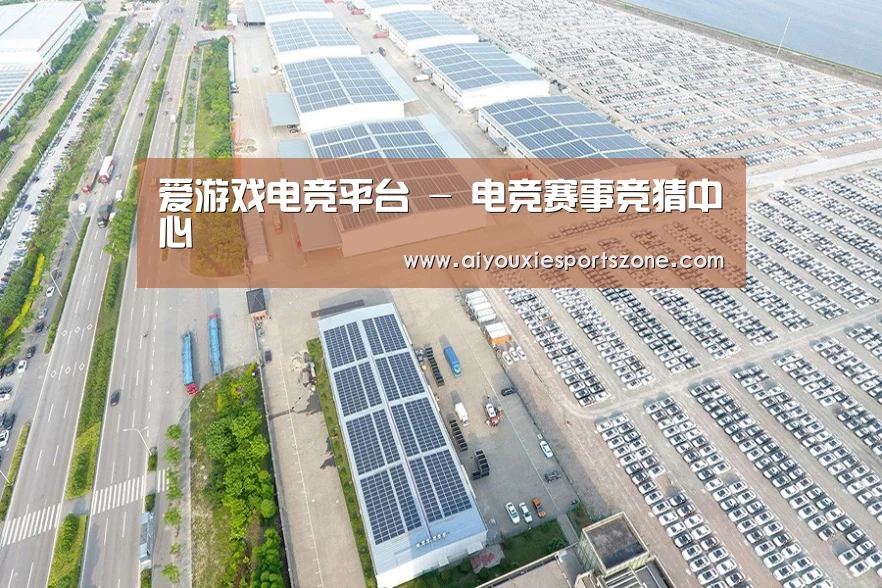 案例展示四