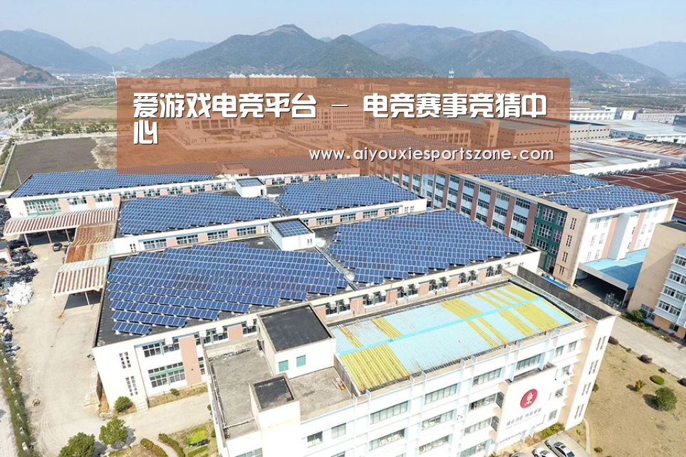 案例展示三