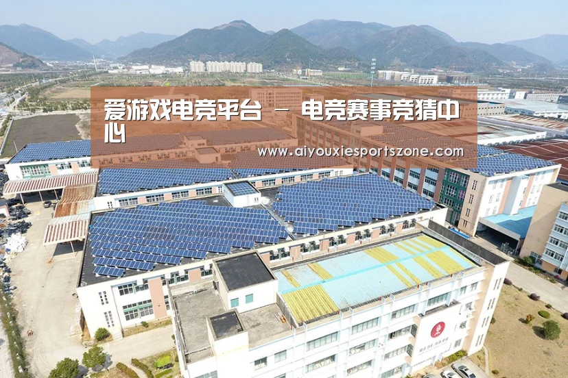 案例展示三