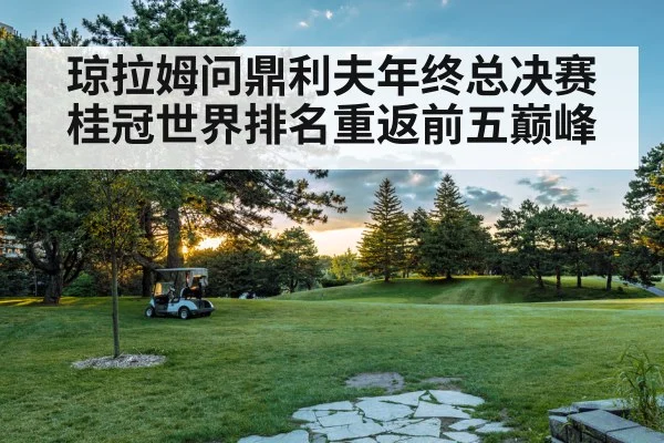 琼拉姆问鼎利夫年终总决赛桂冠世界排名重返前五巅峰