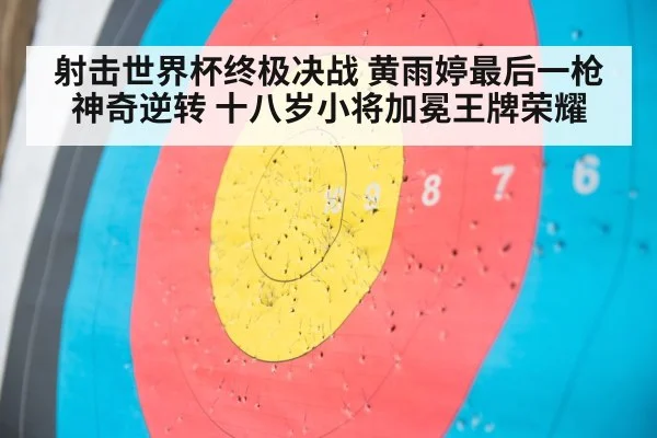 shooting target close up