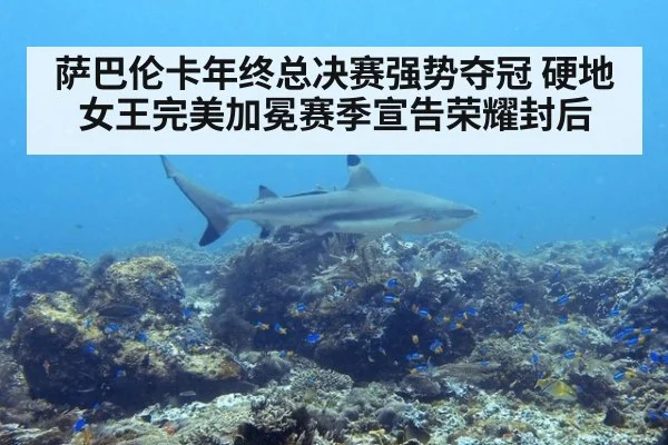 萨巴伦卡年终总决赛强势夺冠 硬地女王完美加冕赛季宣告荣耀封后