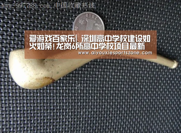 爱游戏体育